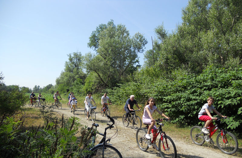 immagine di copertina dell'articolo BICICLETTANDO E RISOTTANDO